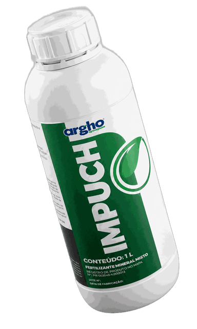 Impuch
